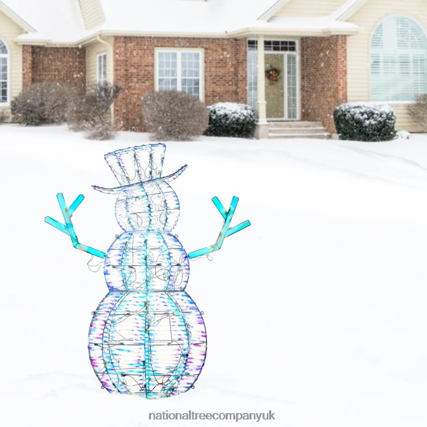 decoration | National Tree Company Pre Lit Iridescent Snowman Decoration Cool White LED Lights Plug In Christmas Collection 48 Inches F2L4F642